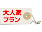 大人気プラン